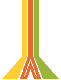 lines-800-YOG-Vdn
